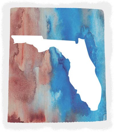 State Watercolor-Sponge Cloth