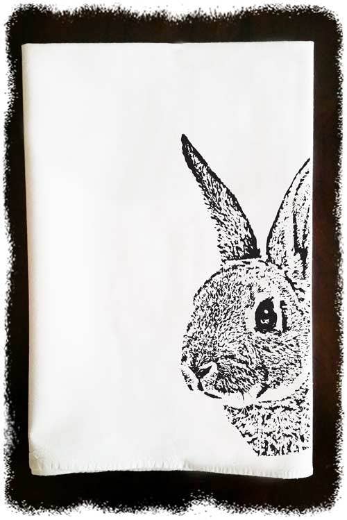 Bunny